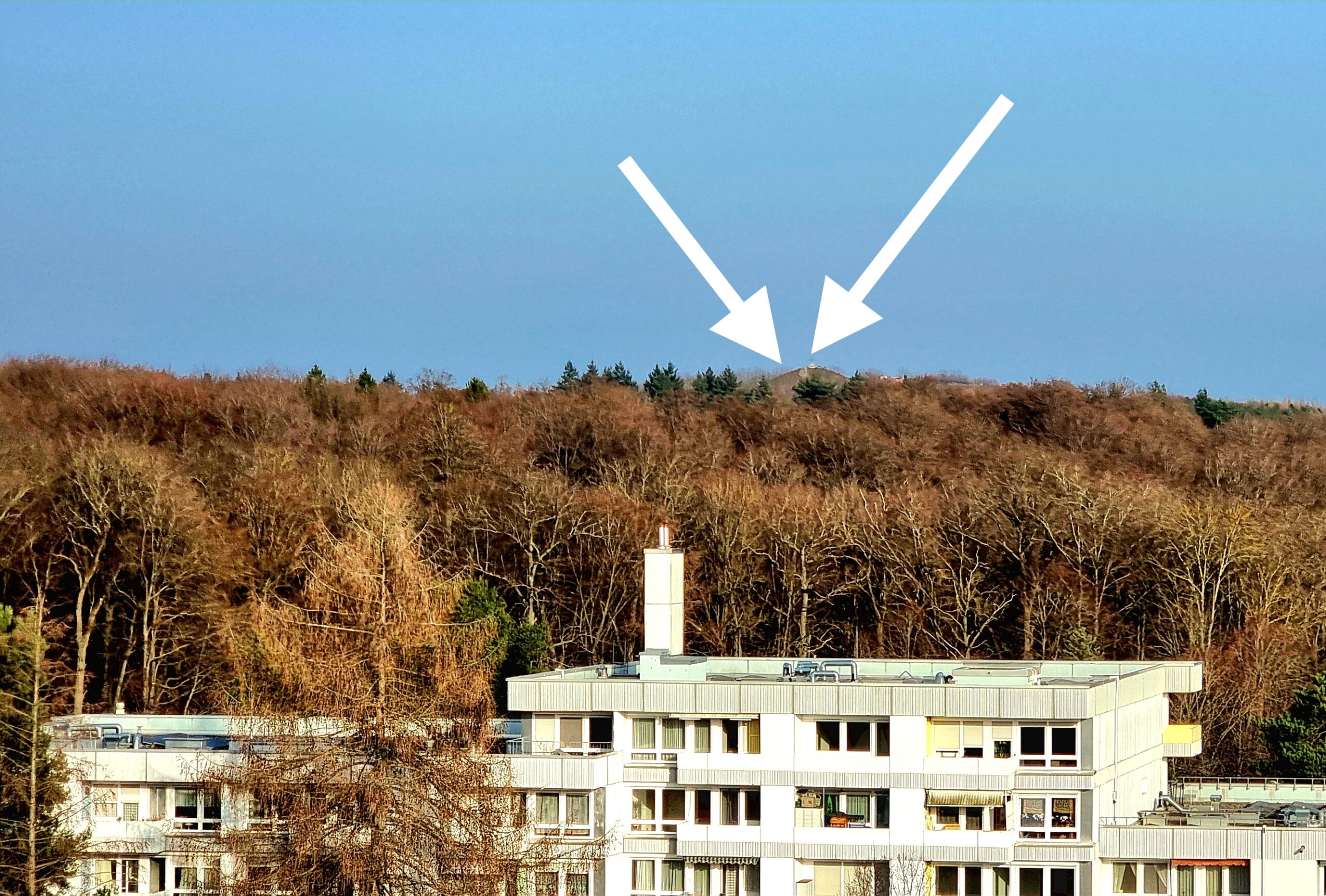 Dachskopf-Ein neues Ausflugsziel für die ganze Familie